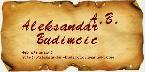 Aleksandar Budimčić vizit kartica